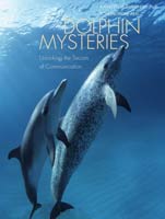 Dolphin Mysteries Unlocking the Secrets of Communication