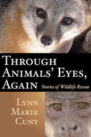 Through Animals' Eyes, Again Stories of Wildlife Rescue